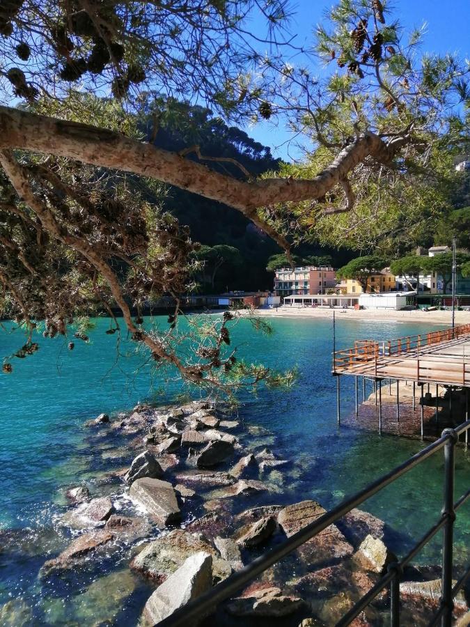 La Casetta - Near The Sea & Free Parking Rapallo Eksteriør bilde